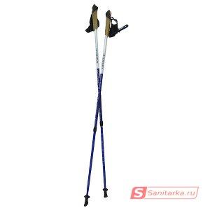 Палки для скандинавской ходьбы KINERAPY RW902